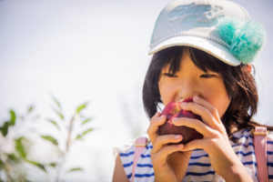 ニトリ観光農園りんご画像